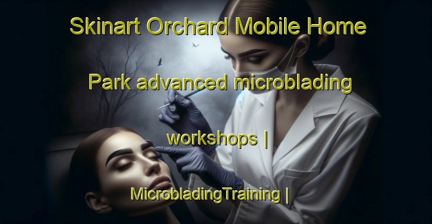 Skinart Orchard Mobile Home Park advanced microblading workshops | MicrobladingTraining | MicrobladingClasses | SkinartTraining-United States